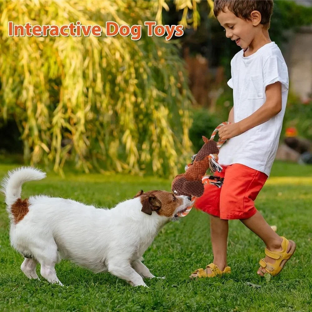 Plush Dog Toys with Rope, Squeaker & Crinkle Paper Interactive Squeaky Chew